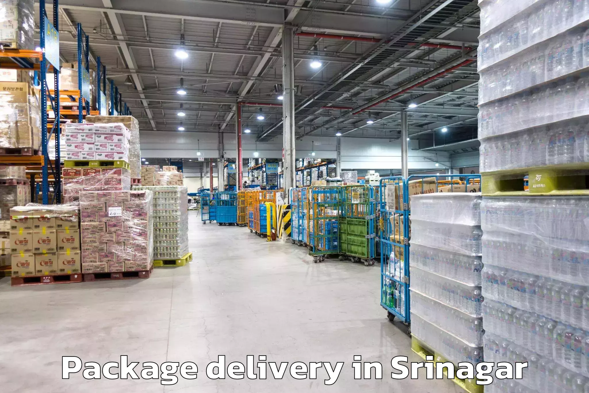 Easy Package Delivery Booking in Srinagar, Rest of India (JK)